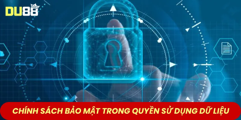 Chính sách bảo mật trong quyền sử dụng dữ liệu