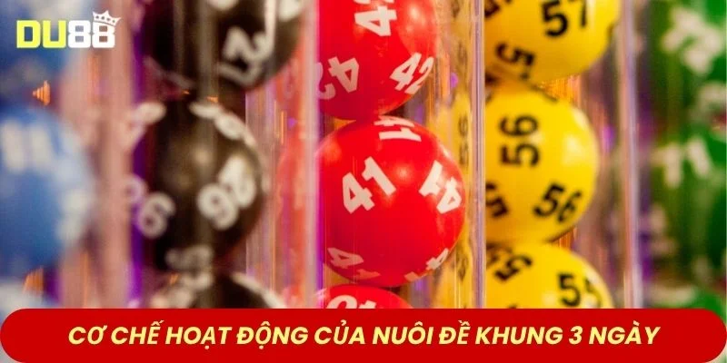 Cơ chế hoạt động của nuôi đề khung 3 ngày