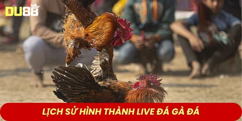 Lịch sử hình thành live đá gà đá