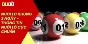 Nuôi Lô Khung 3 Ngày