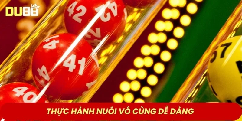 Thực hành nuôi vô cùng dễ dàng 